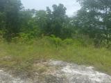 TOP HILL Westmoreland Shefeild, Westmoreland, Jamaica - Residential lot for Sale